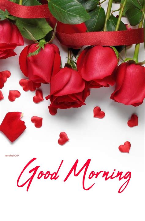 Ghim của Ramchai Chuenbumrung trên สวัสดีวันอาทิตย์ | Hình ảnh, Anh và ...