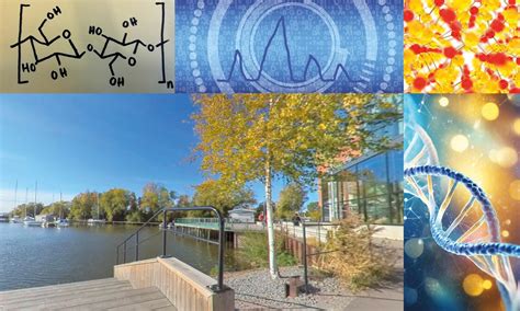 Voices about SCS2025 – SCS2025