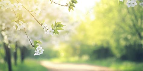 Global Beautiful Background 的图像结果