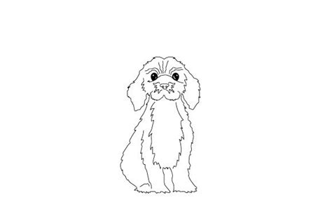 Image result for Cockapoo Dog Single Line Drawing