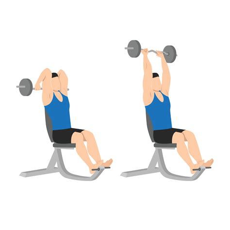 Woman doing Seated barbell french press exercise. Flat vector ...