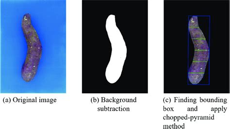 Image result for Image Processing Details with Example