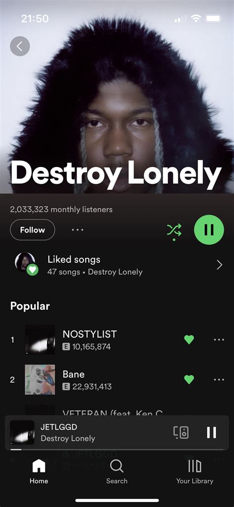Destroy Lonely Age