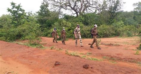 Frontline forest workers: ‘Heroes in the strife’ of the COVID-19 lockdown