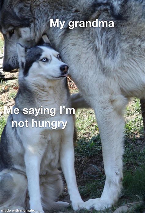 “Please! I’m not hungry grandma!” : r/memes