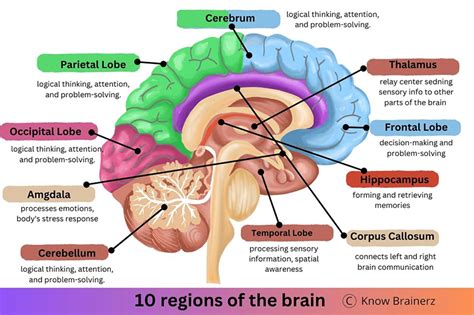 Image result for Mapping Method of Note Taking