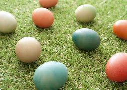 Image result for Cute Easter Eggs