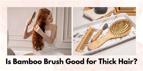 Is Bamboo Brush Good for Thick Hair? – Meserii