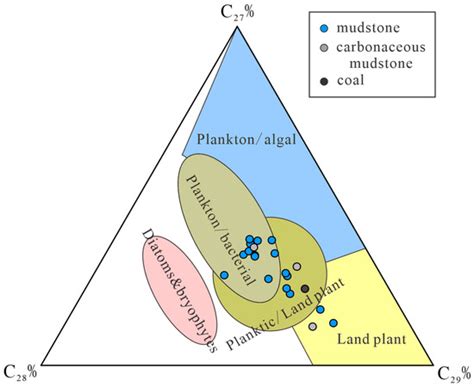 Geochemical Characteristics and Depositional Environment of Coal ...