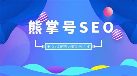 seo策略分析_网站