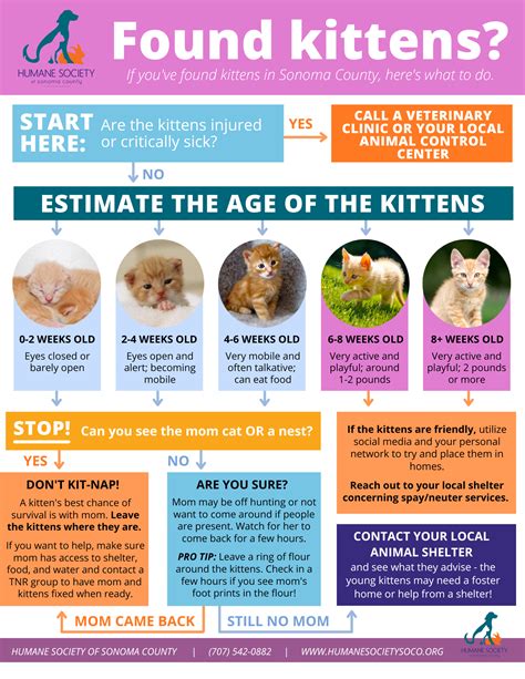 Found kittens? - Humane Society of Sonoma County