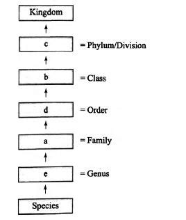 In the following flow diagram identify the correct categories. (1 ...