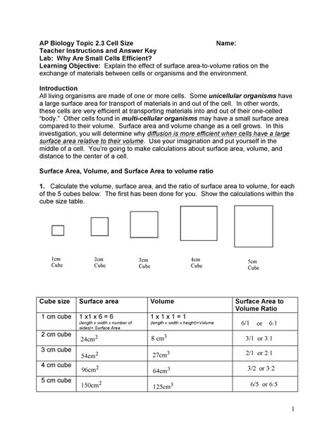 Topic 2.3 Lab, Why Are Small Cells Efficient Student Copy - 1 AP ...