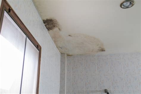 Mold On Ceiling Under Bathroom