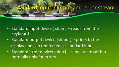 File Handling Class 12 CSV File Programs 的图像结果