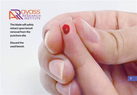 Transcriptome Procedure 的图像结果