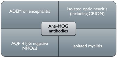 Myelin Oligodendrocyte Glycoprotein Antibody-Associated Disease ...