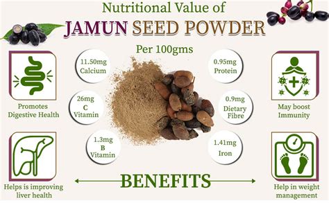 Jamun Powder – Natural Support for Blood Sugar & Health – Organic Gyaan