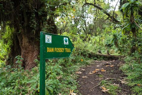 Visit Rwanda - Dian Fossey Tomb visit, Volcanoes National Park Rwanda ...