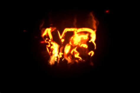 Defib 的图像结果