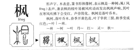 枫的意思-枫字五行属什么-枫字取名的寓意 - 起名网