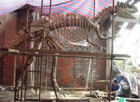 江西发现完整保存的大型植食性恐龙化石