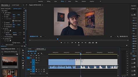 Image result for Wave.Path Audio Editing