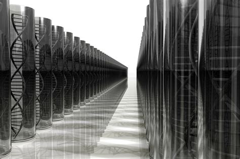 Computer Engineer Live Cells 的图像结果