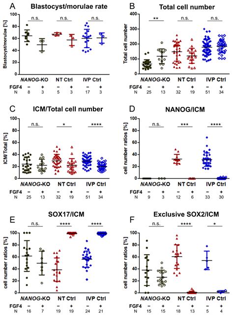 Hypoblast Formation in Bovine Embryos Does Not Depend on NANOG