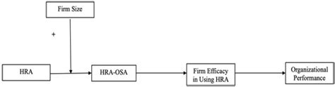 The Effect of Human Resource Analytics on Organizational Performance ...