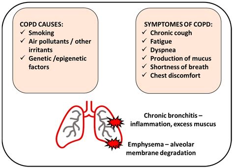 Chronic Bronchitis Vs Emphysema