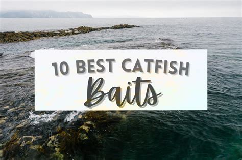 The 10 Best Catfish Baits and WHY Catfish Love Them