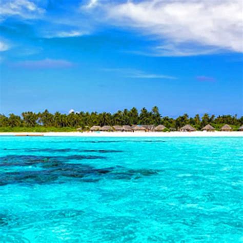 Check out 5 Scuba diving destinations in India