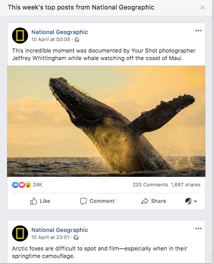 Image result for How to Use Facebook Analytics