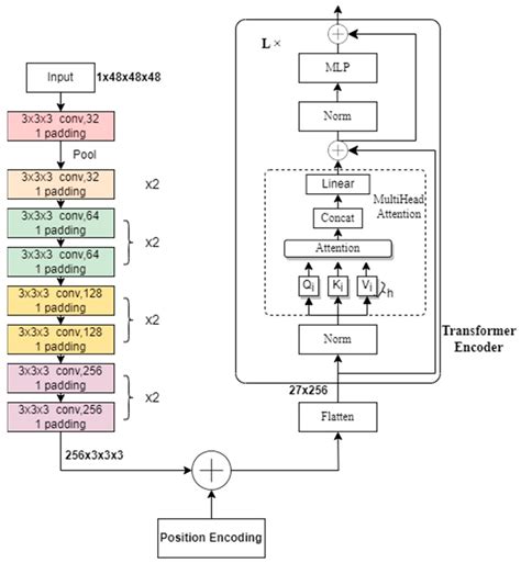 Transformer-Based Recognition Model for Ground-Glass Nodules from the ...