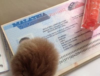 办理马来西亚电子签证流程是什么？_马来西亚签证代办服务中心