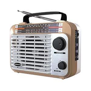 Multiband AM/FM/SW1-2 Radio Transistor Radio AC or Battery Operated ...