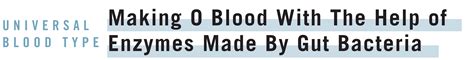 An Enzyme In The Digestive Tract Could Form a Universal Blood Type