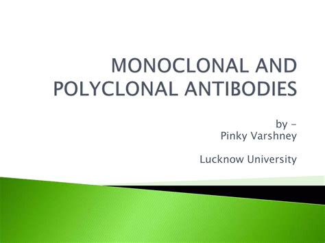 Monoclonal and polyclonal antibodies | PPT