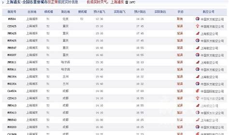 暴雨致上海97个航班延误5个航班取消_新闻中心_新浪网