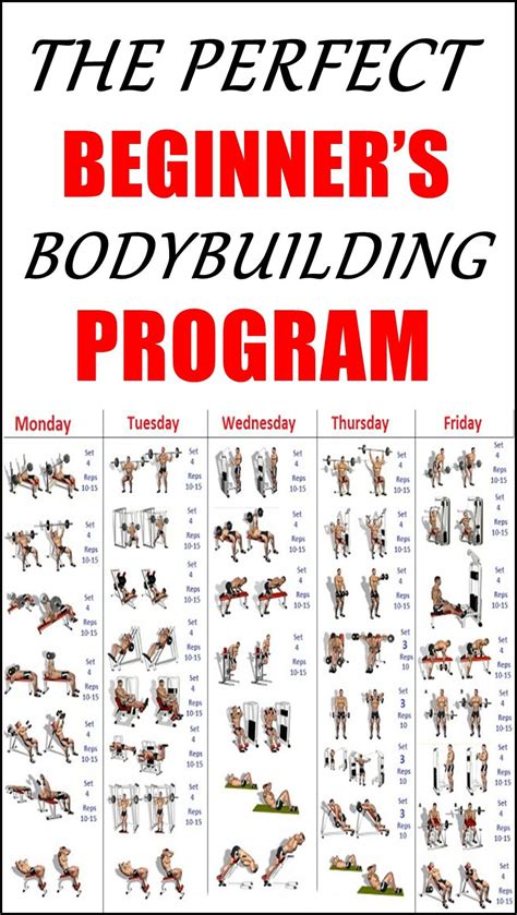 Basic Workout Plan for Beginners 的图像结果