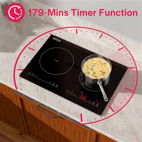 Empava Electric Stove 120V 20-in 2 Burners Black Induction Cooktop EMPV ...