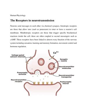 Structure and function of cell membranes - Molecular biology Structure ...