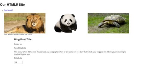 Image result for HTML5 Form