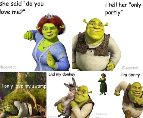 Image result for Shrek Script Memes