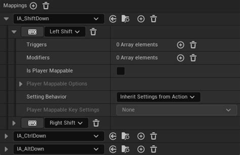 Image result for Custom Input Modifier Modify Raw Ue5