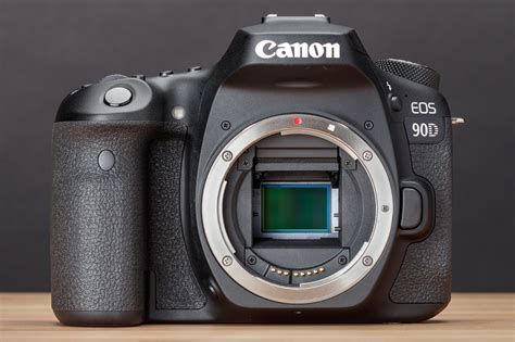 Canon eos 90d примеры фотографий