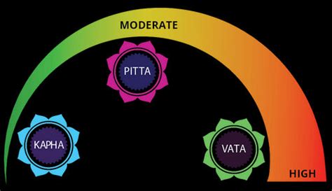 Ayurveda & The Paleo Diet - The Ayurveda Experience IN