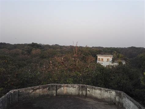Raiganj (Kulik) Bird Sanctuary, Raiganj, WB
