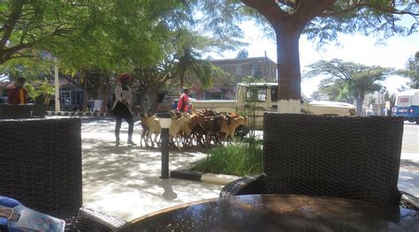 ETHIOPIS HOTEL (Axum) - Hotel Reviews & Photos - Tripadvisor